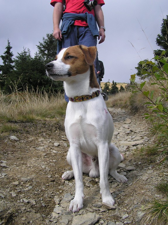 img00070.jpg