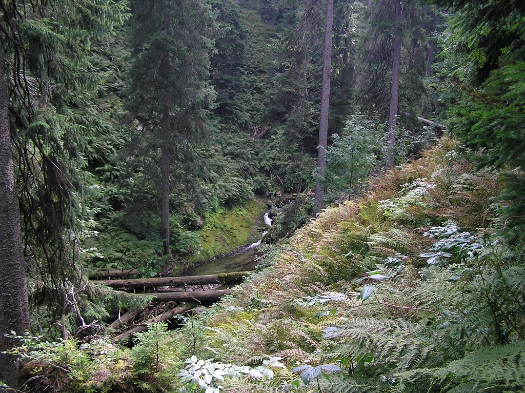 img00071.jpg