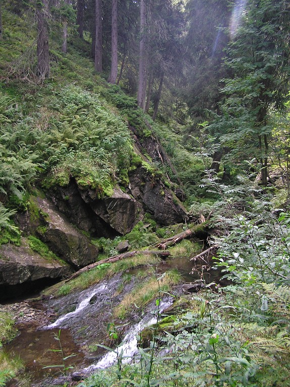 img00074.jpg