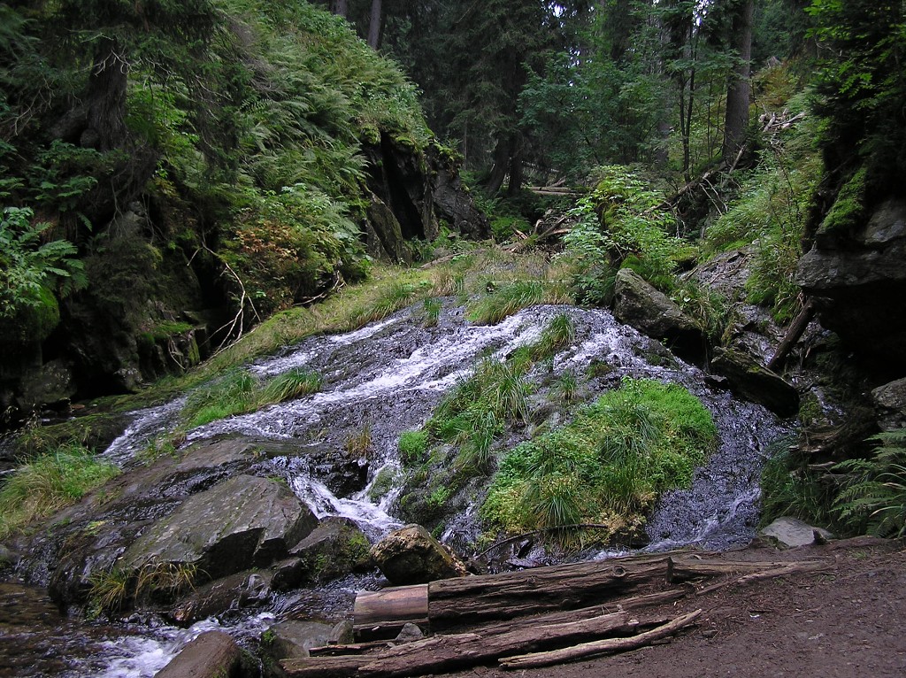 img00076.jpg