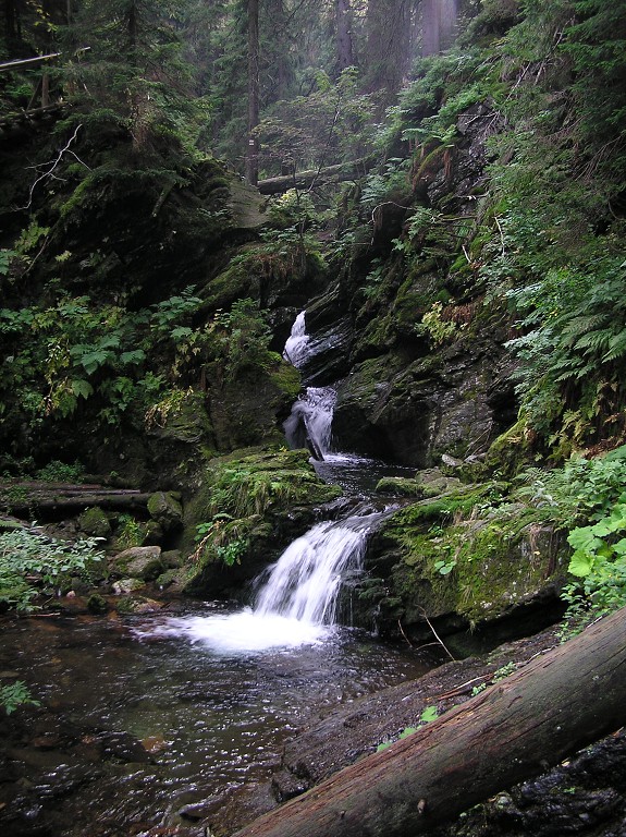 img00077.jpg