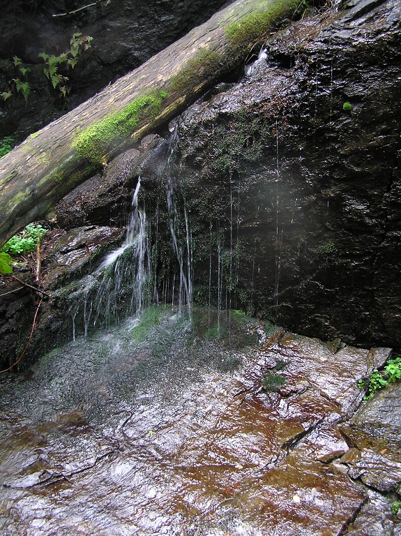 img00078.jpg