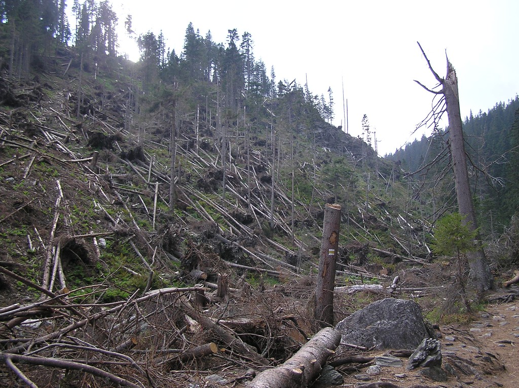 img00080.jpg