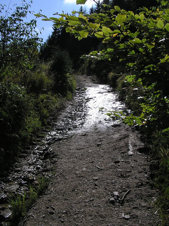 img00087.jpg