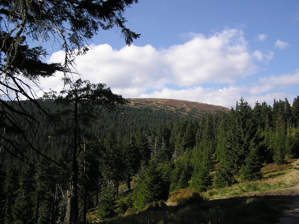 img00088.jpg