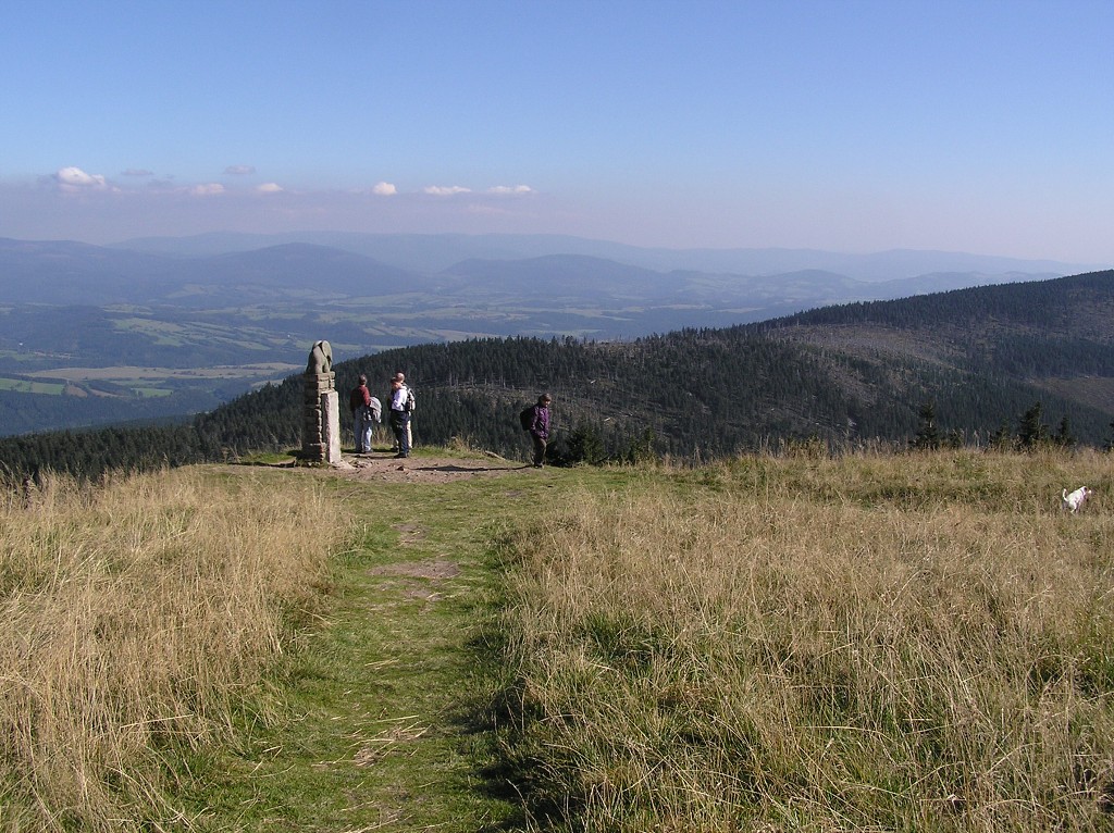 img00091.jpg