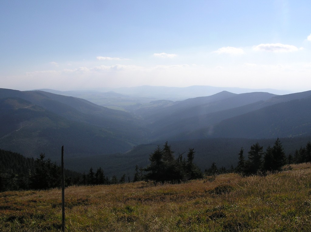 img00095.jpg