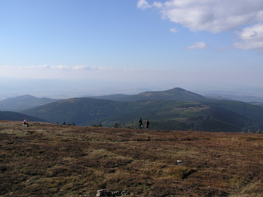img00098.jpg
