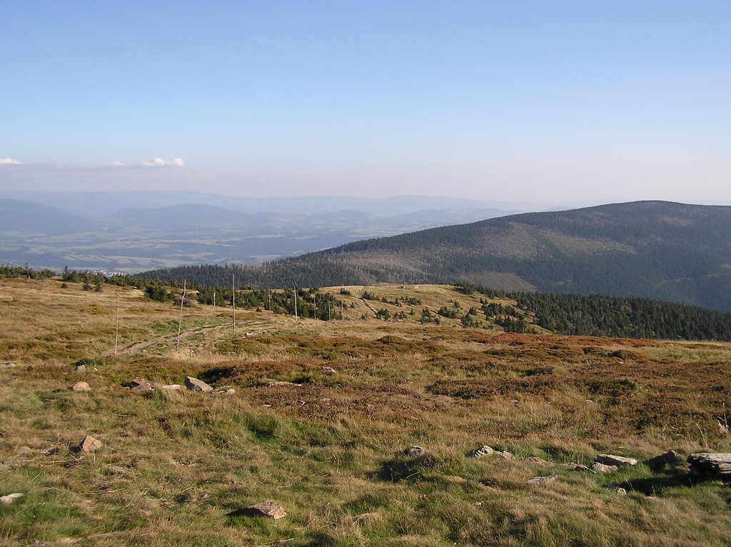 img00101.jpg
