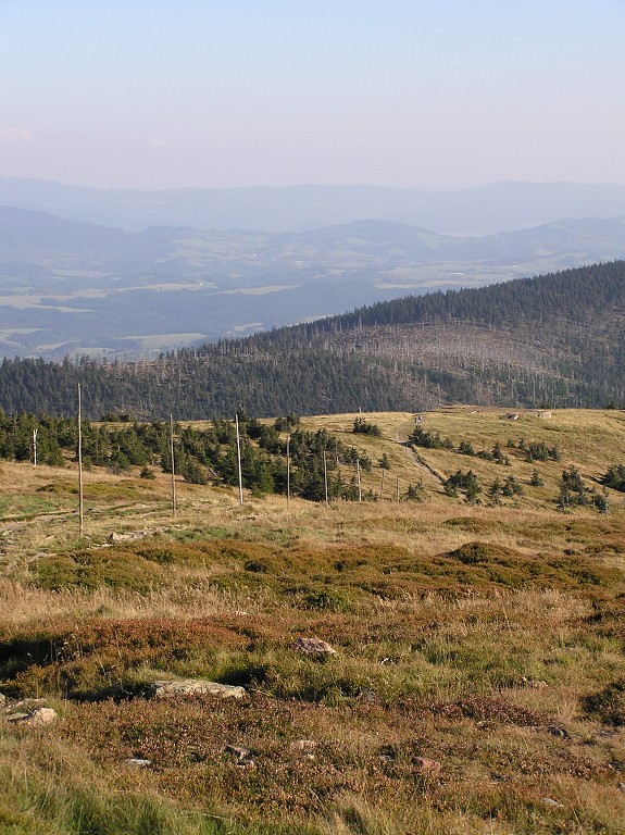 img00102.jpg