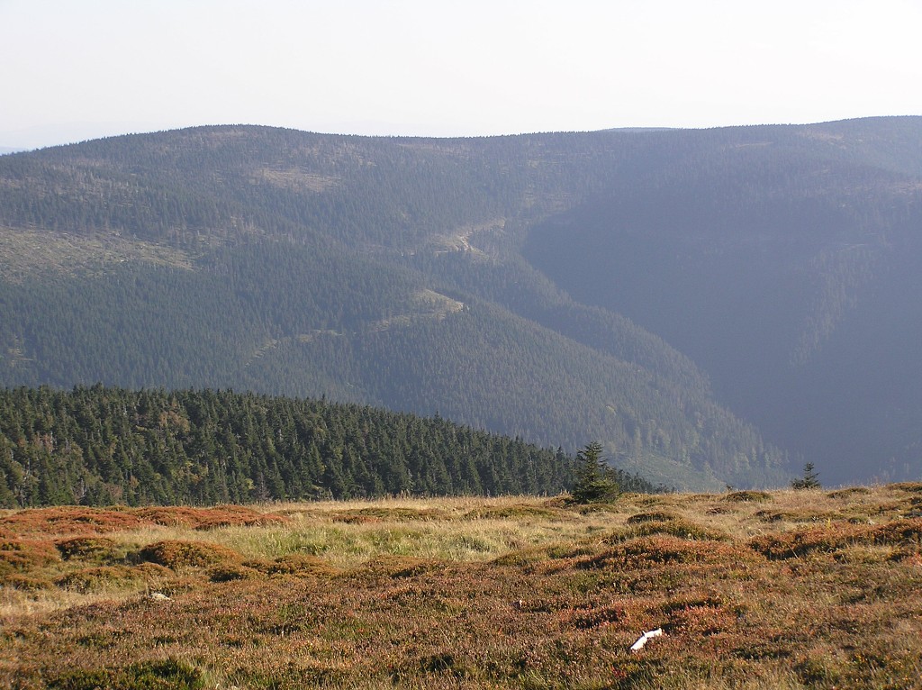 img00103.jpg