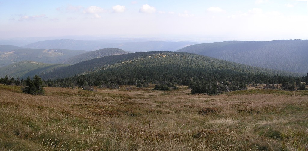 img00134.jpg