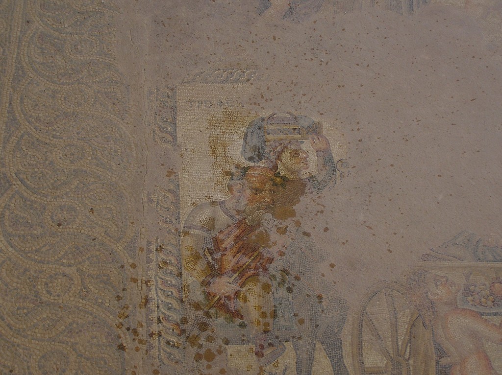img00050.jpg