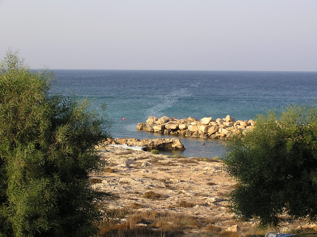 img00061.jpg