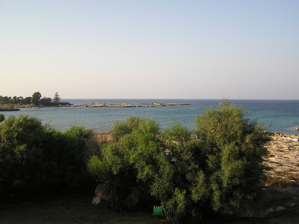 img00063.jpg