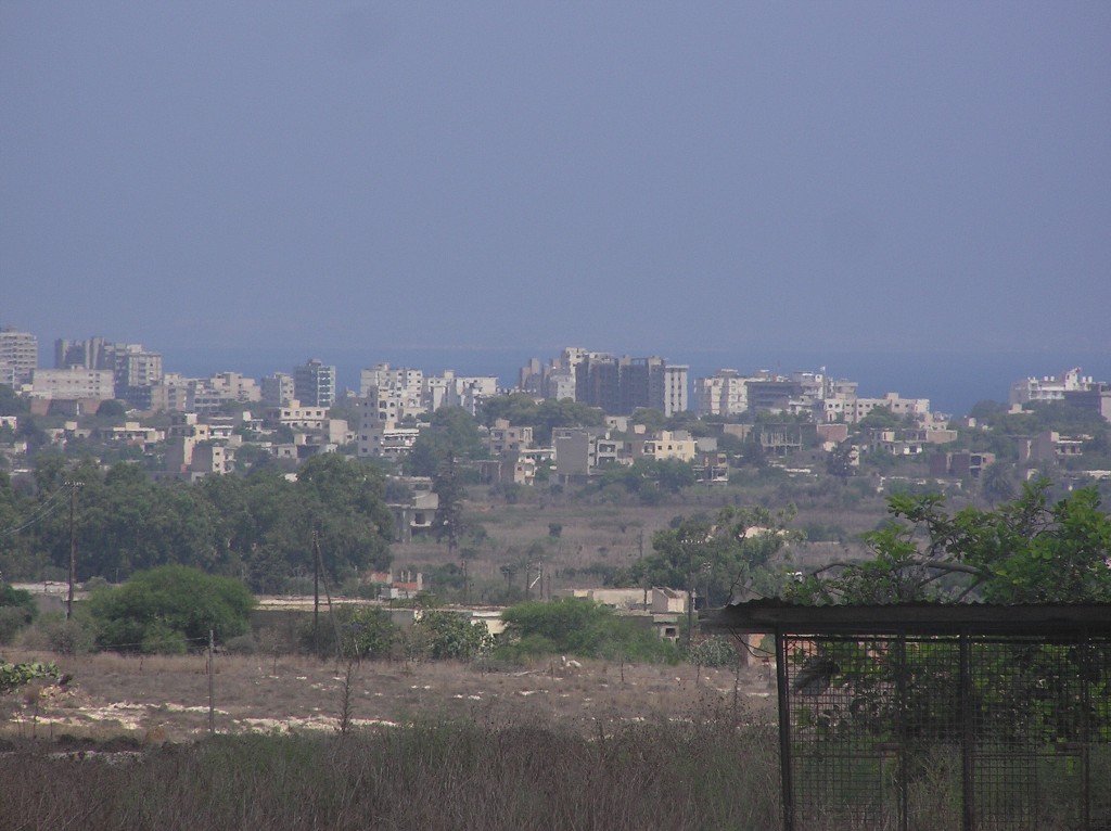 img00081.jpg