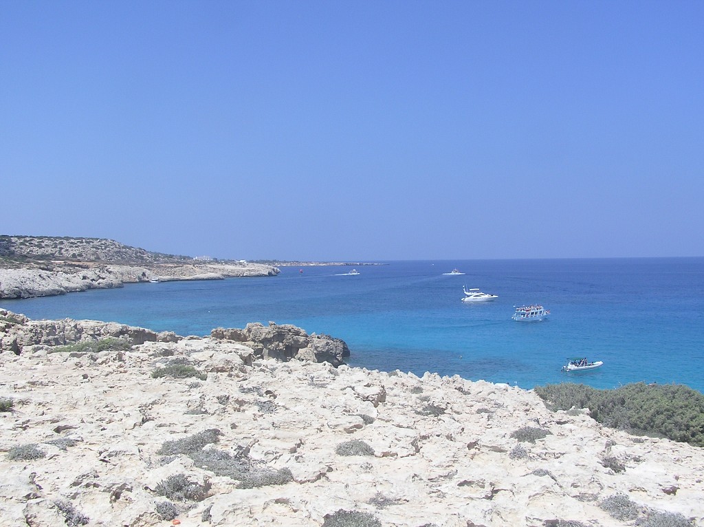 img00098.jpg