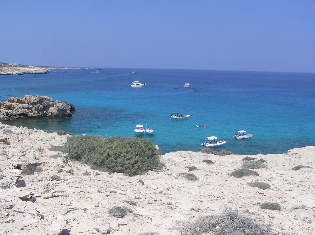 img00099.jpg
