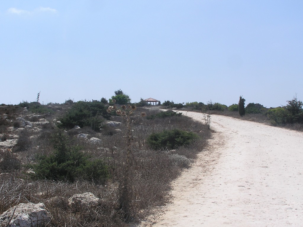 img00103.jpg