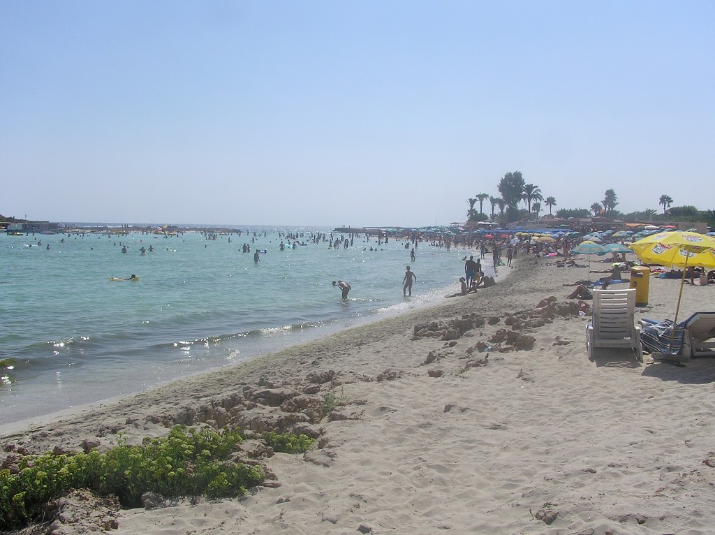 img00109.jpg
