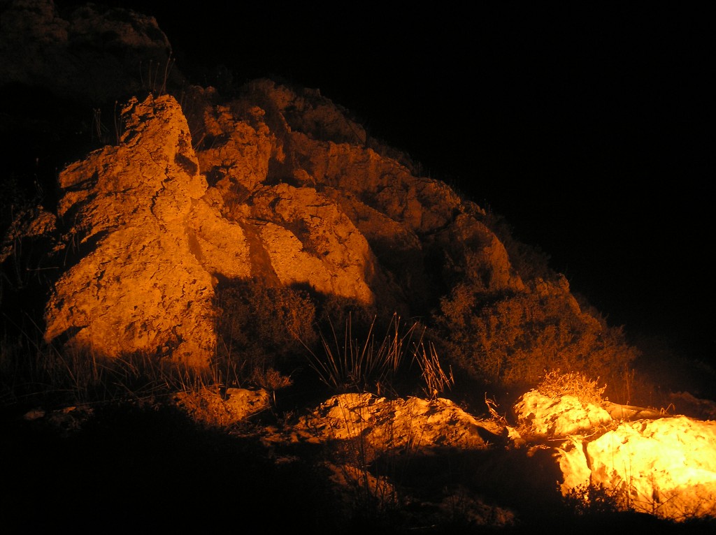 img00118.jpg