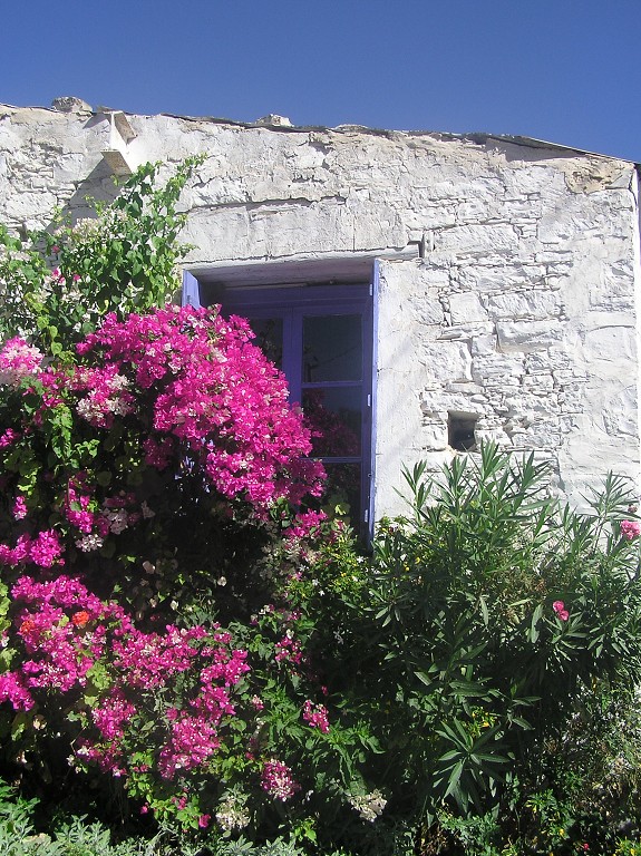 img00123.jpg