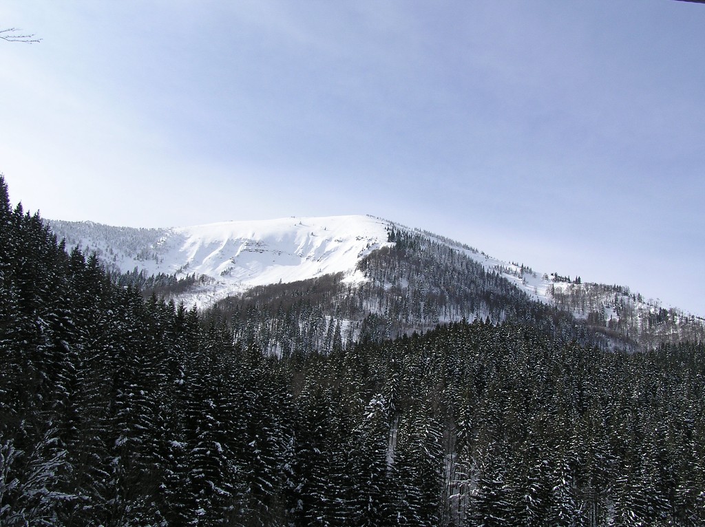 img00005.jpg