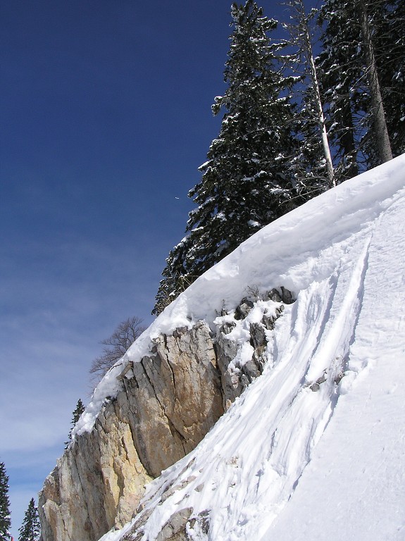 img00019.jpg