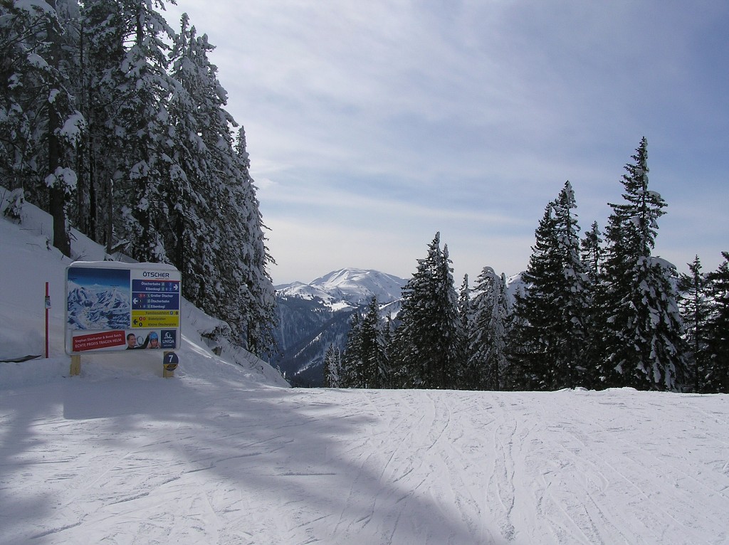img00025.jpg