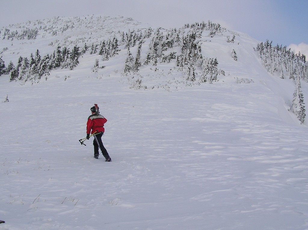 img00029.jpg