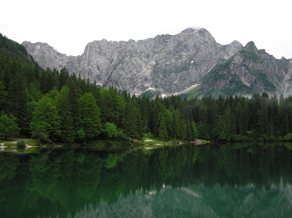 img00017.jpg