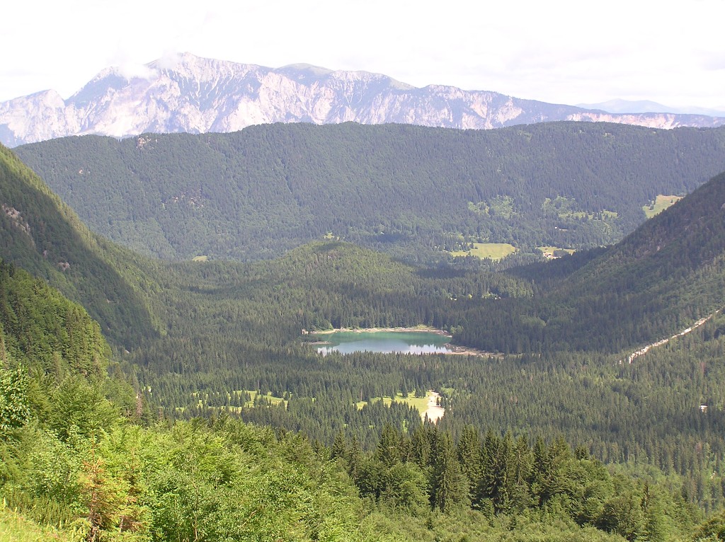 img00020.jpg