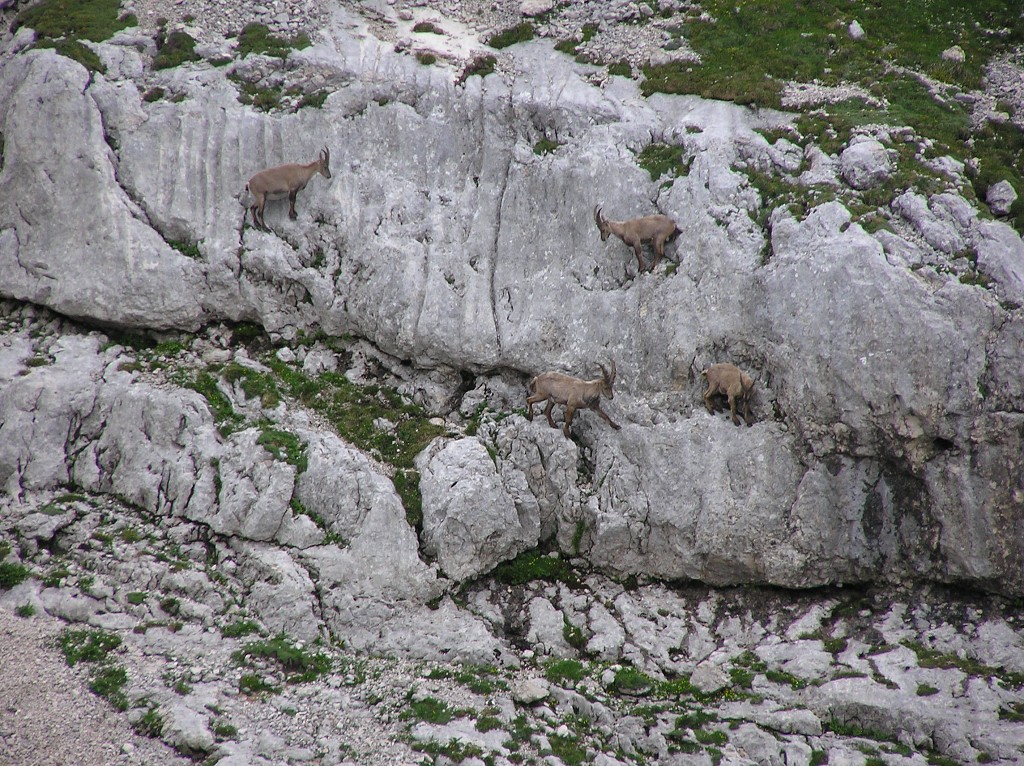 img00067.jpg