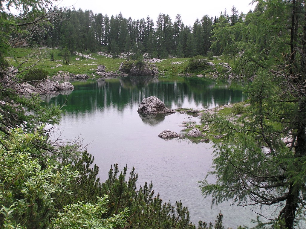 img00074.jpg