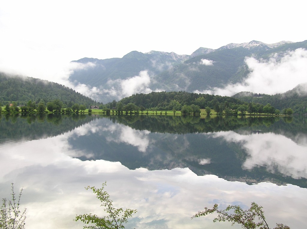 img00083.jpg