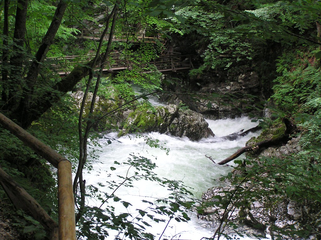 img00088.jpg