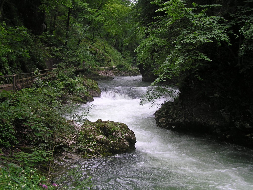 img00089.jpg