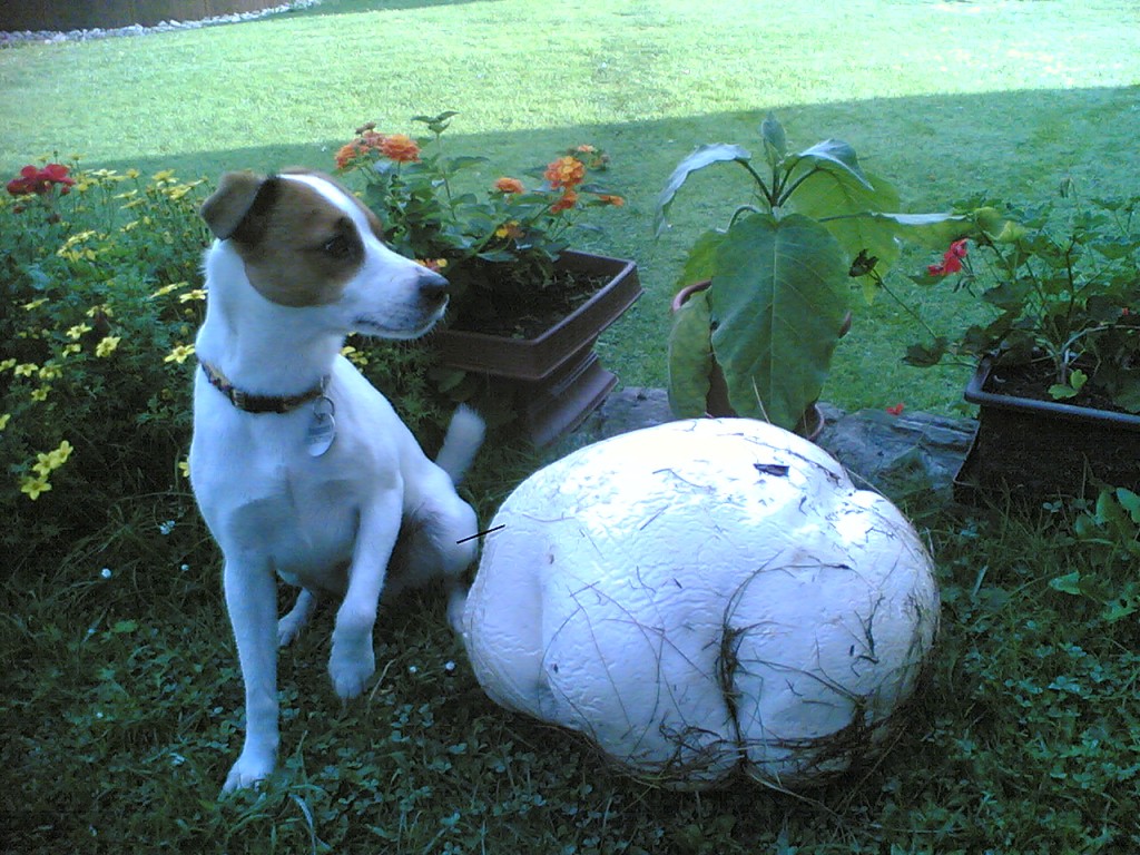 img00001.jpg