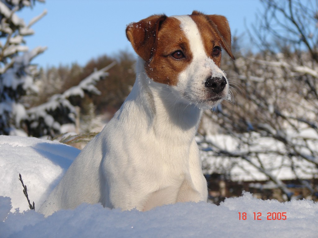 img00002.jpg