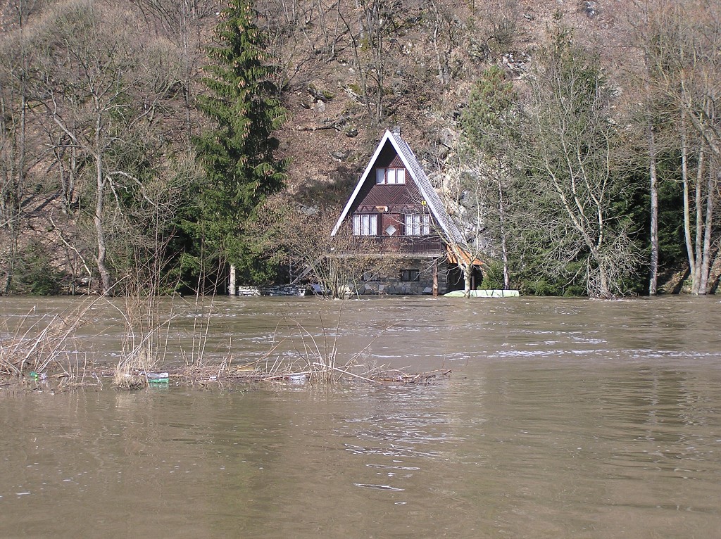 img00006.jpg