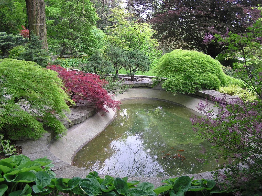 img00007.jpg