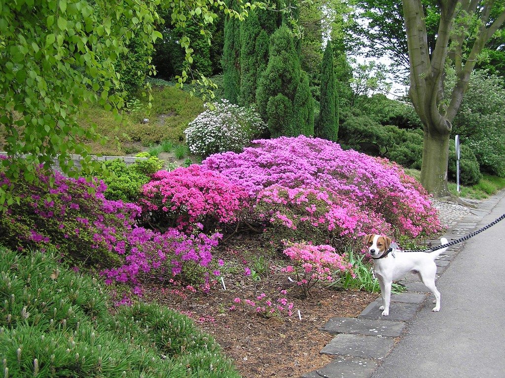 img00008.jpg