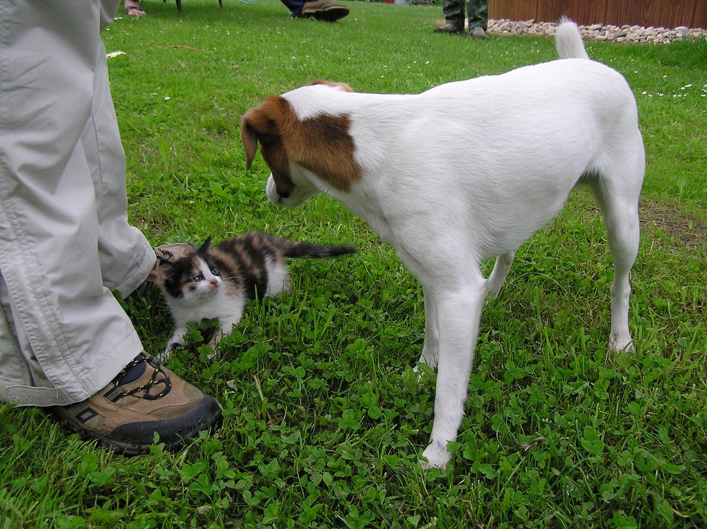 img00014.jpg