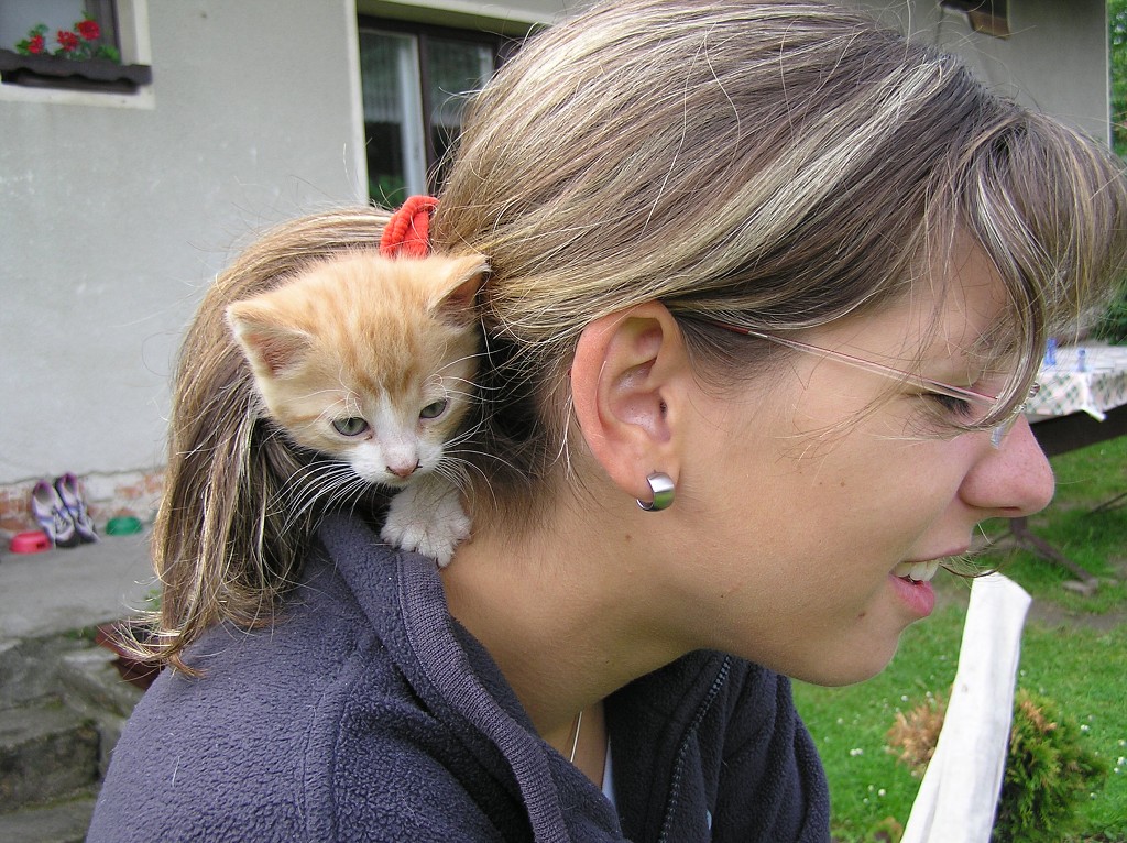 img00016.jpg