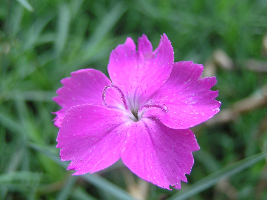 img00018.jpg