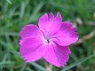1/100 s, F3.2, ISO 50