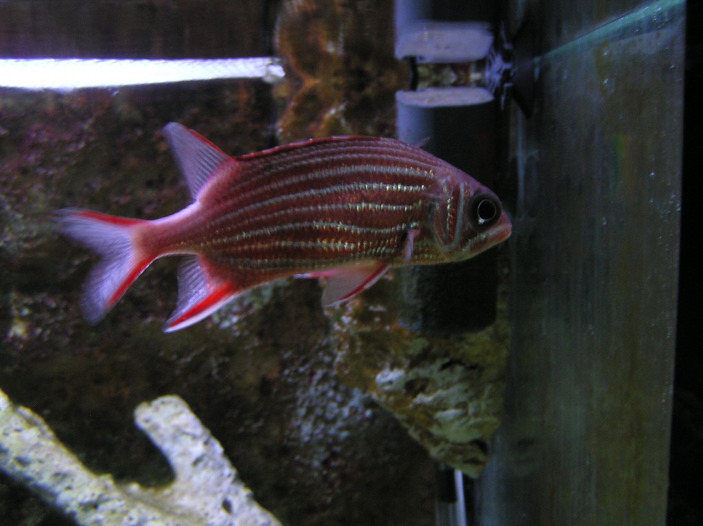 img00007.jpg