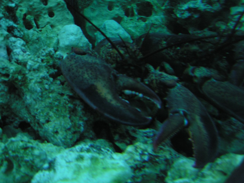 img00010.jpg