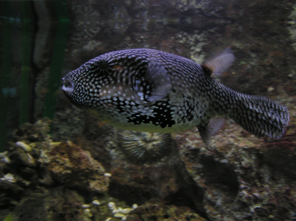img00013.jpg