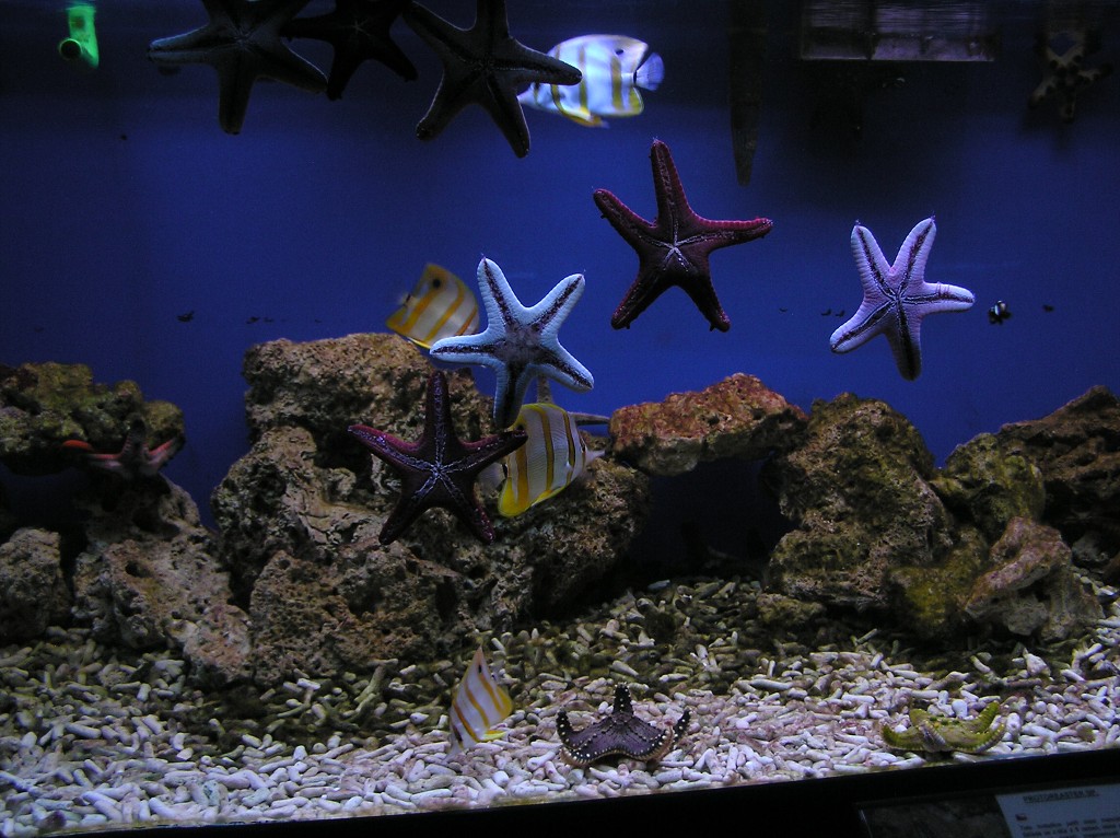 img00015.jpg